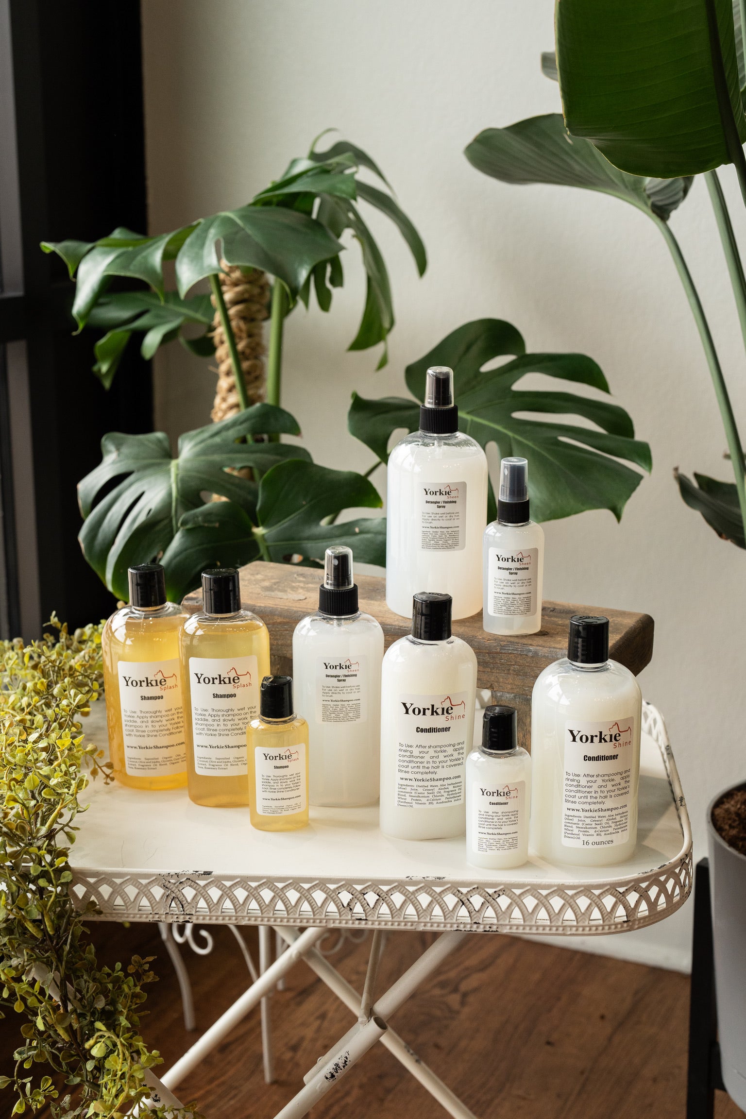 Shop All Grooming Products Yorkie Splash & Shine