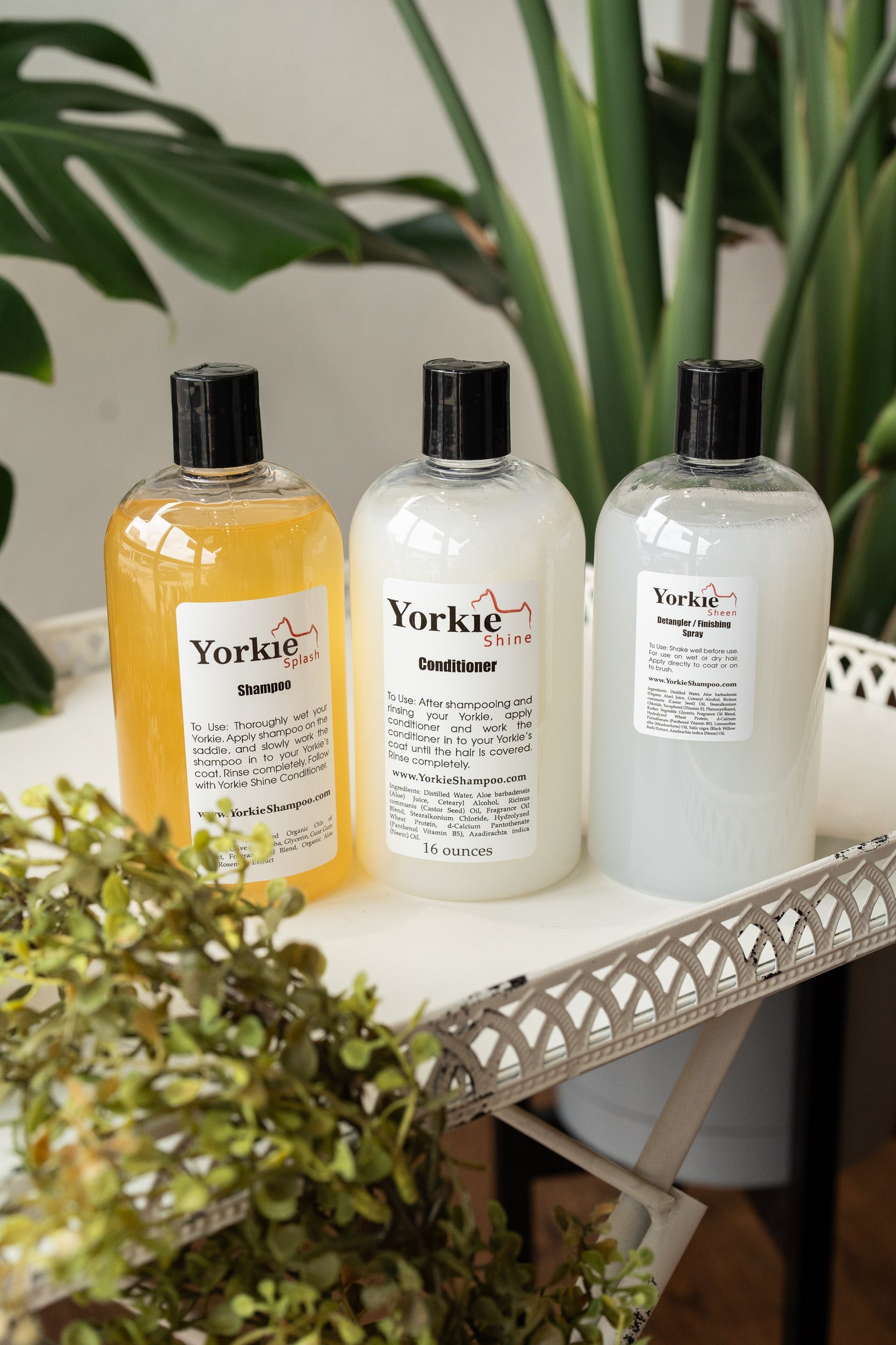 Sweet 16 Set Yorkie Splash & Shine