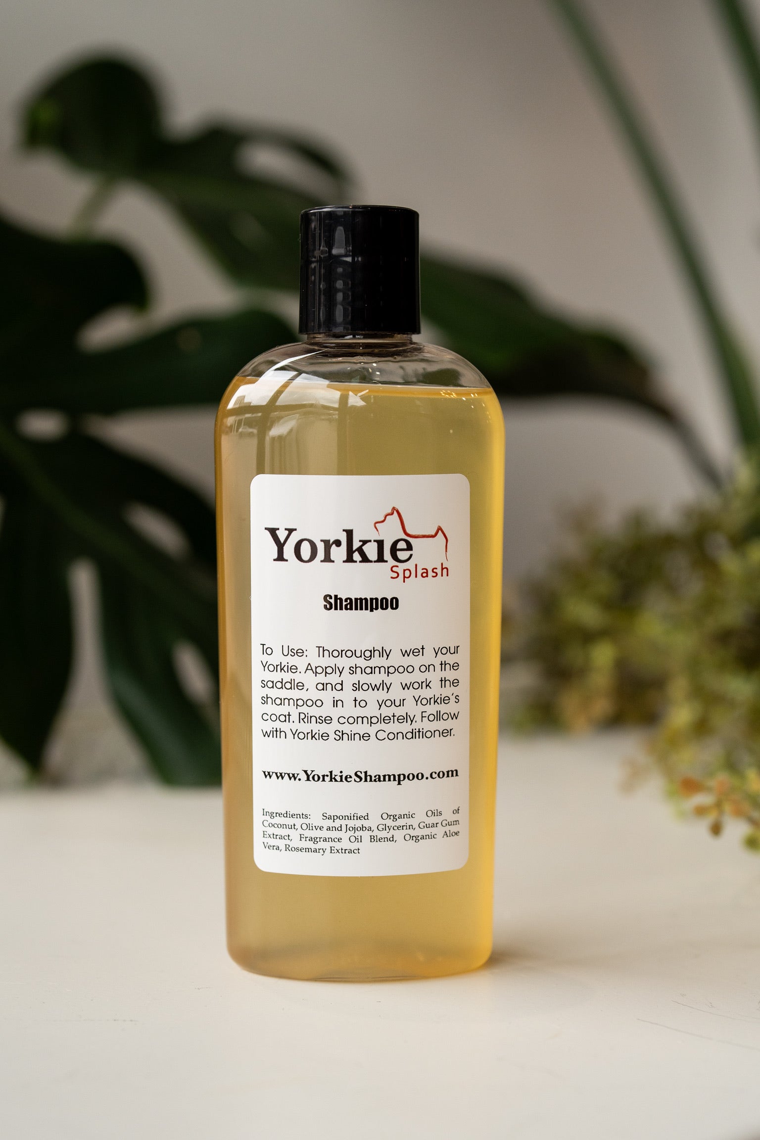 Yorkie Splash Shampoo