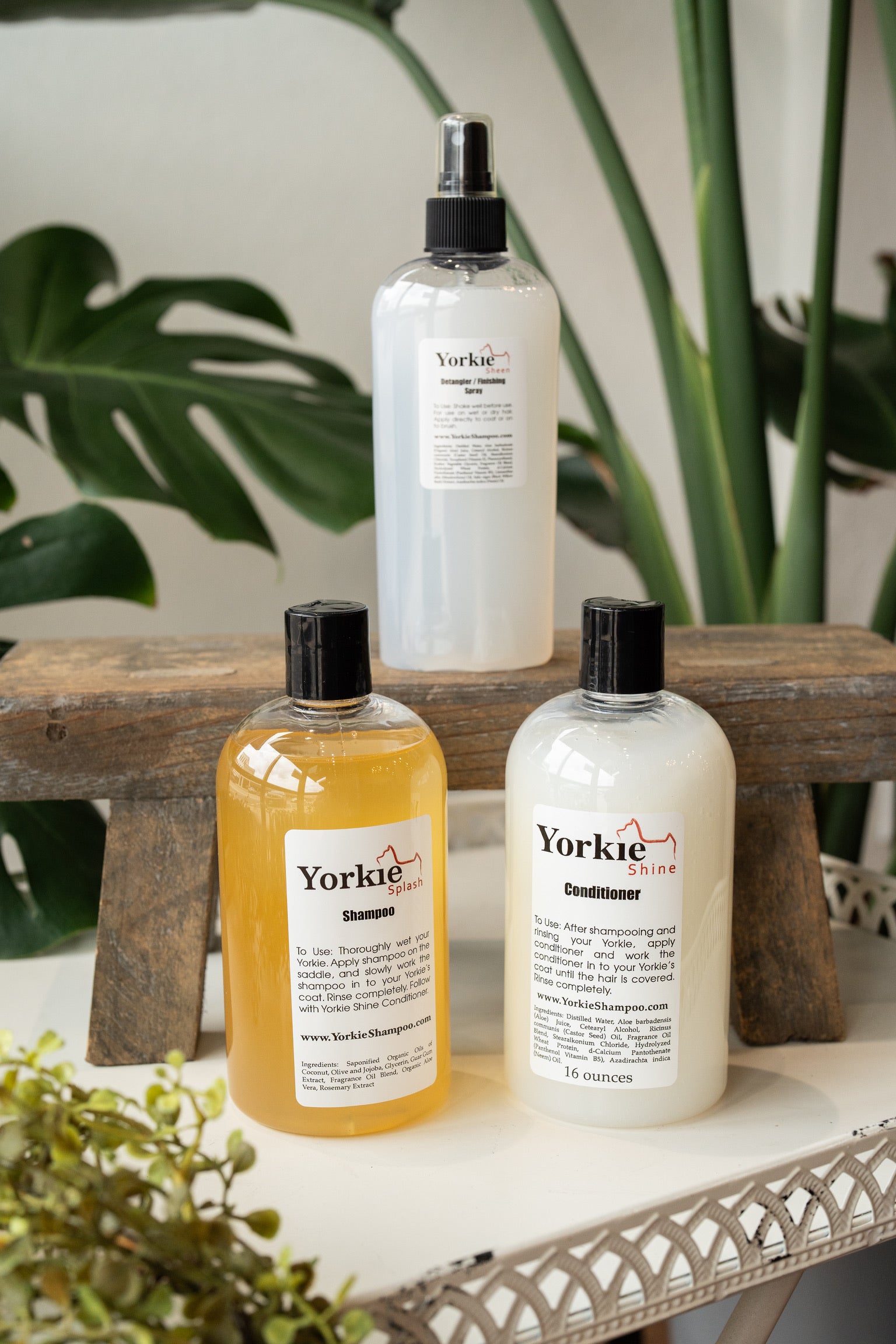 Pampered Set Yorkie Splash & Shine