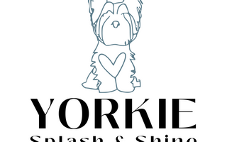 What To Do If Your Yorkie Is Lost