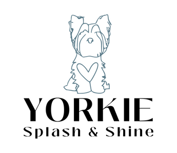 Yorkies & Poisoning