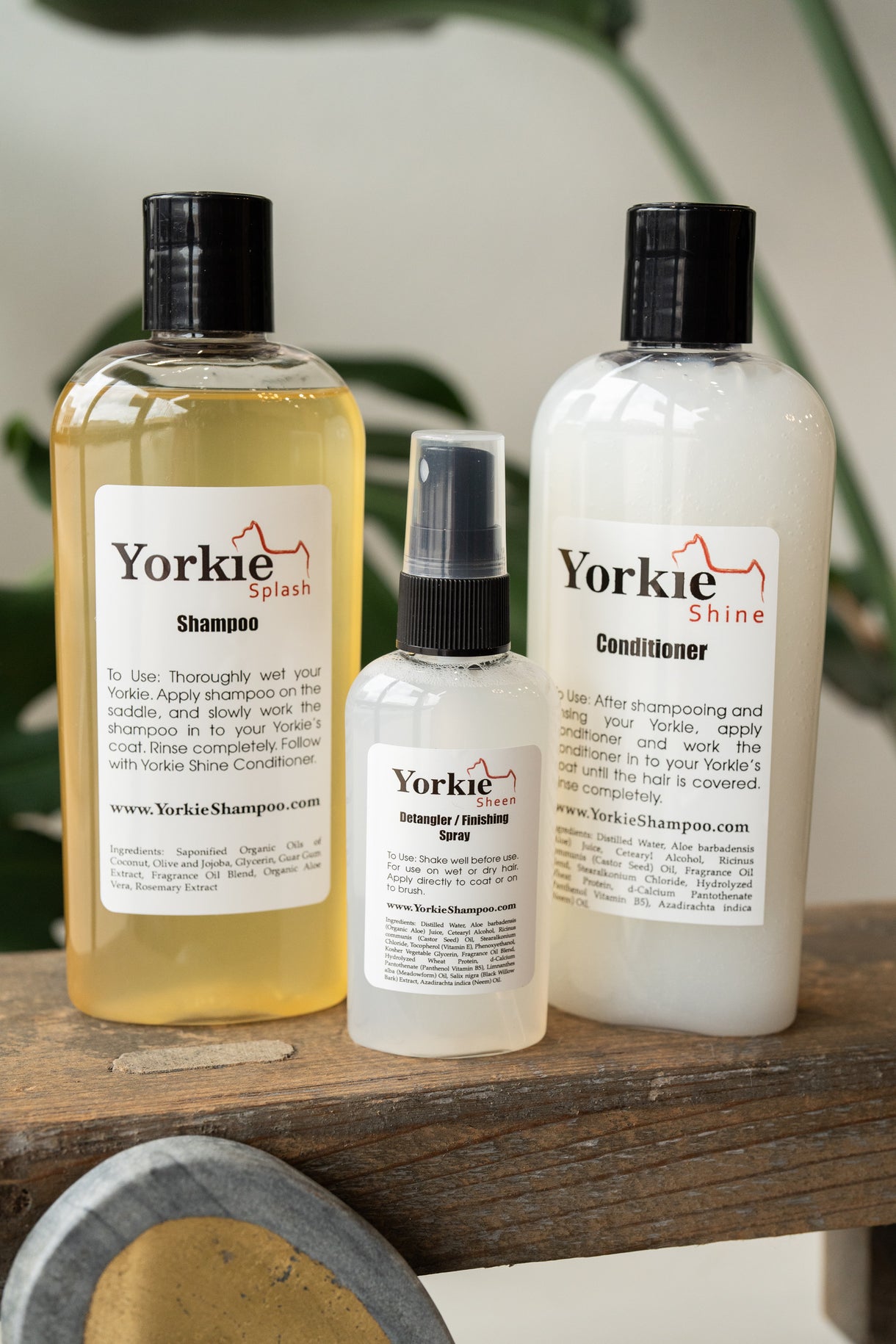 Starter Set Yorkie Splash & Shine