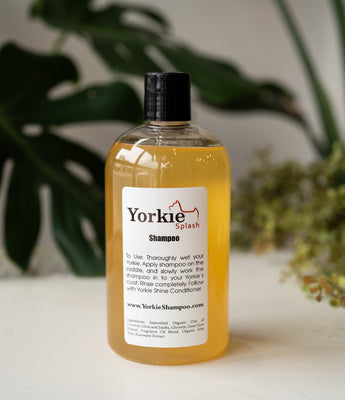 Yorkie Spalsh Shine Yorkie Splash Shine
