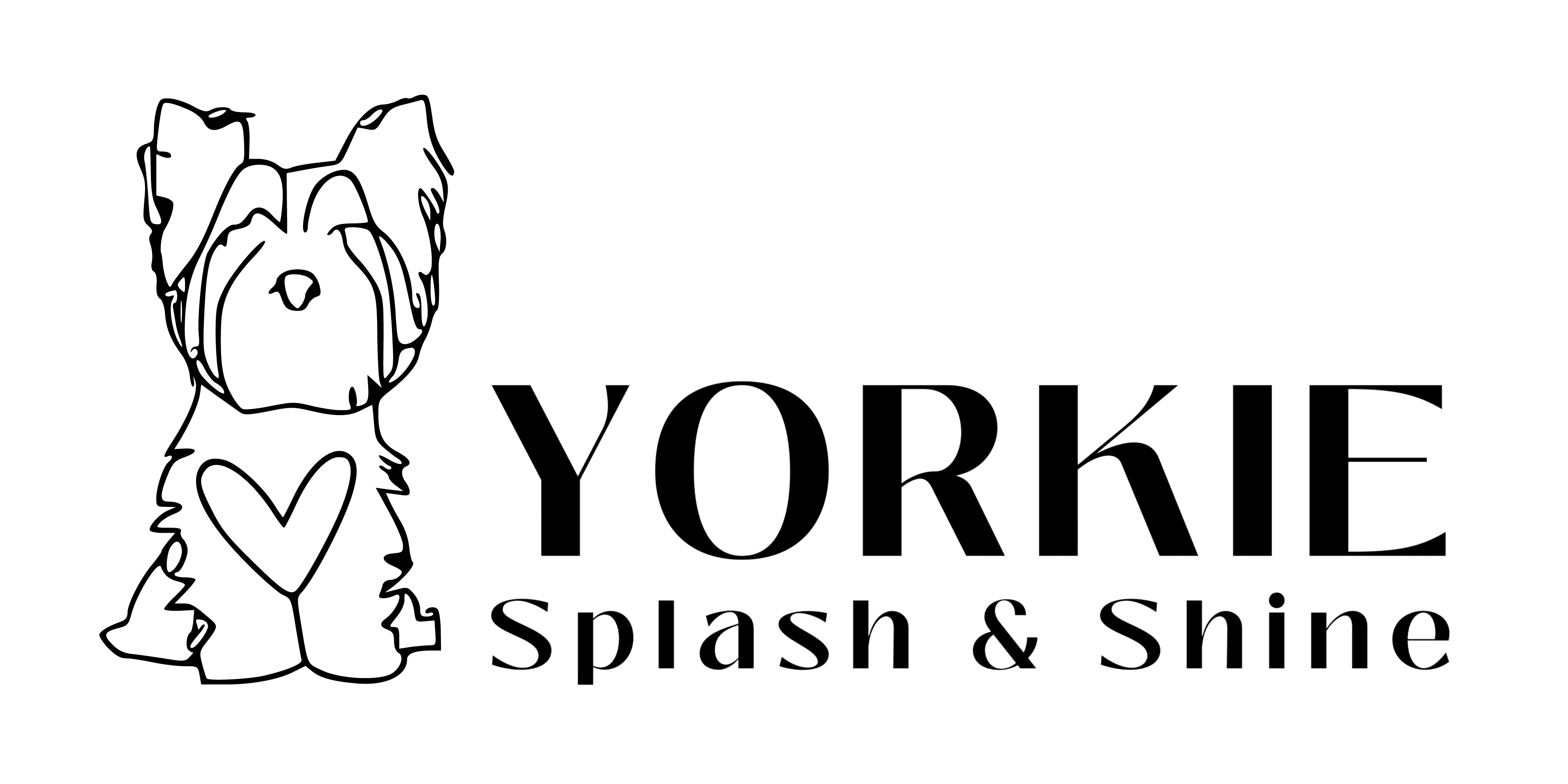 Yorkie Spalsh Shine Yorkie Splash Shine