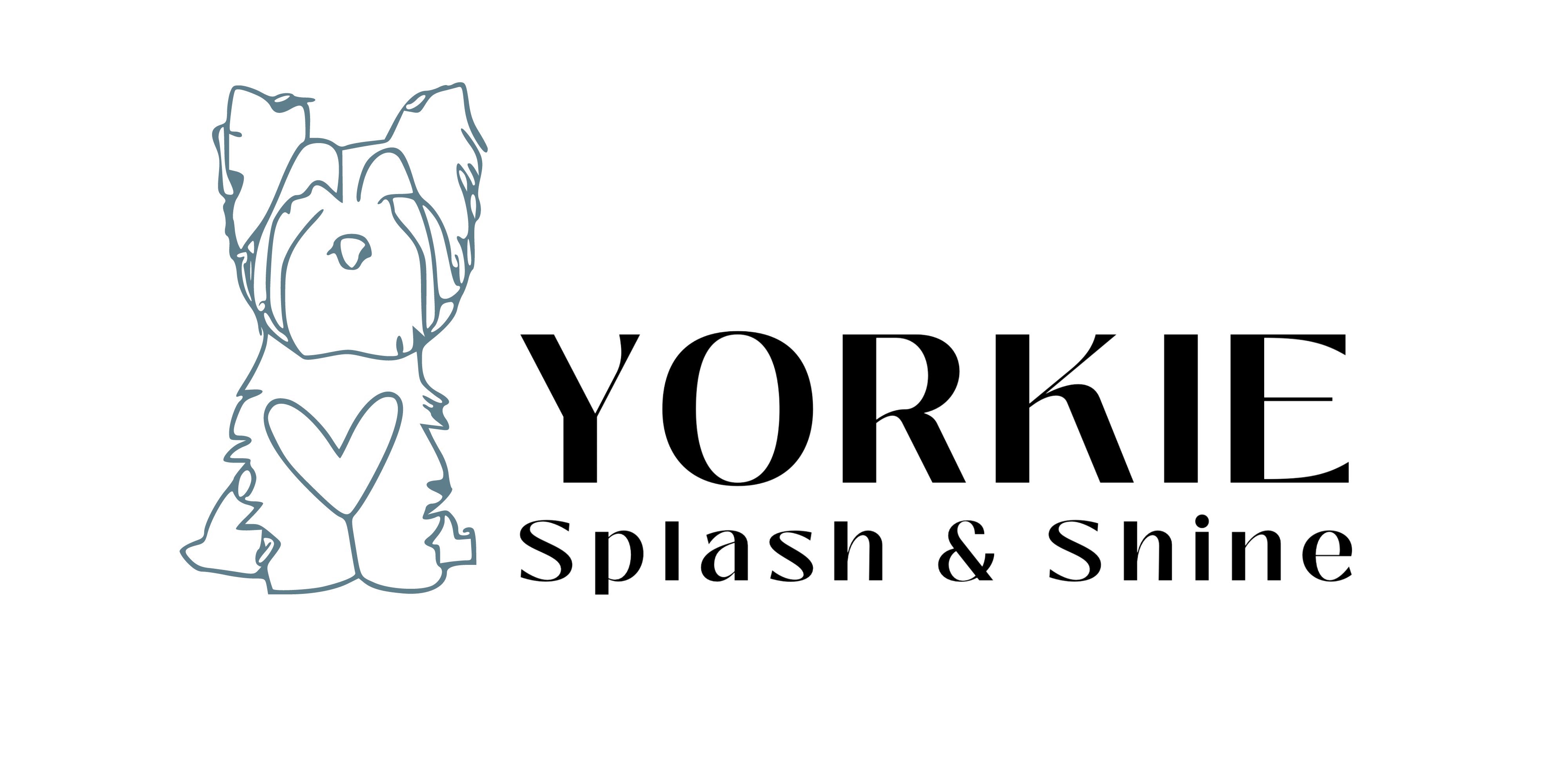 Yorkie Spalsh & Shine Yorkie Splash & Shine
